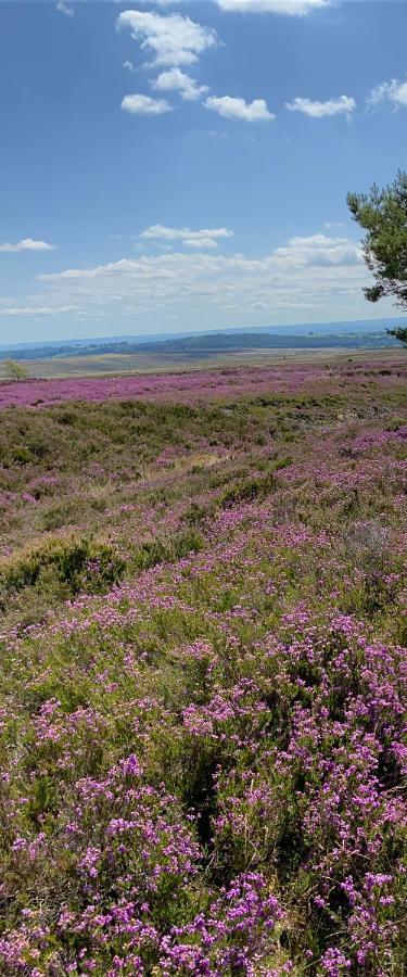 Floyter House North Yorkshire Moors National Park Bed & Breakfast Danby Eksteriør bilde