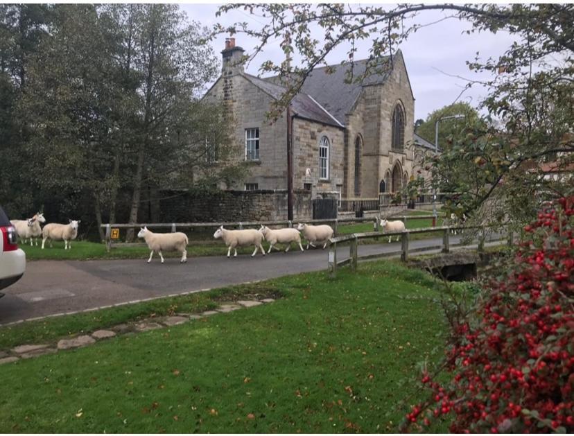 Floyter House North Yorkshire Moors National Park Bed & Breakfast Danby Eksteriør bilde